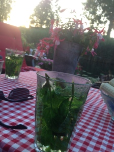 Mint tea, grown by Martin, and a delight to all the senses!